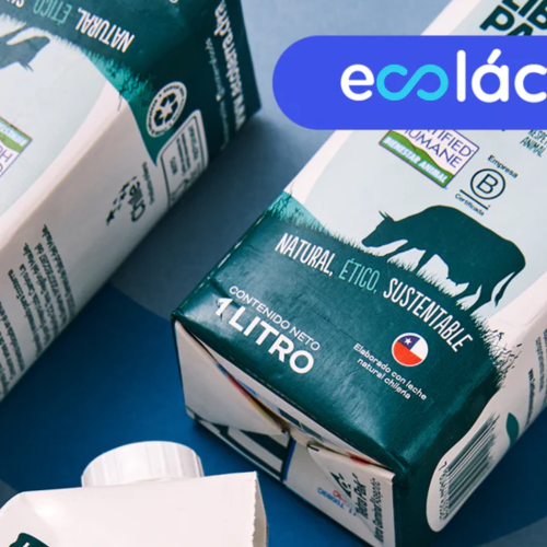 Ecoterra: Estrategia digital y performance marketing para venta ecommerce